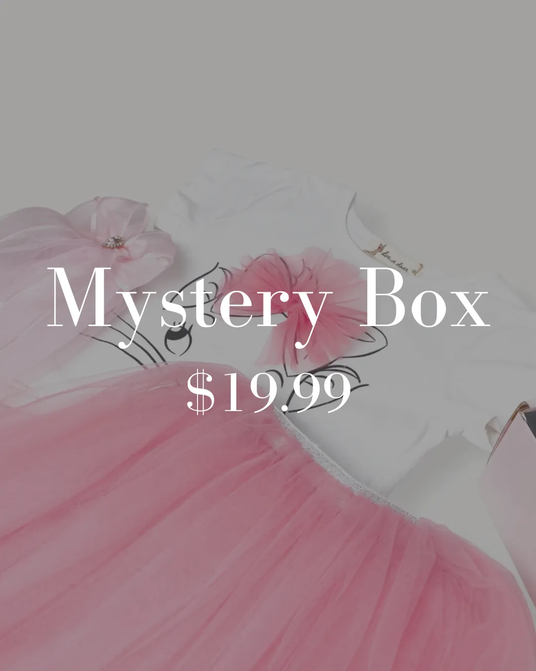 $19.99 Mystery Box (Valued at $45 - $65)