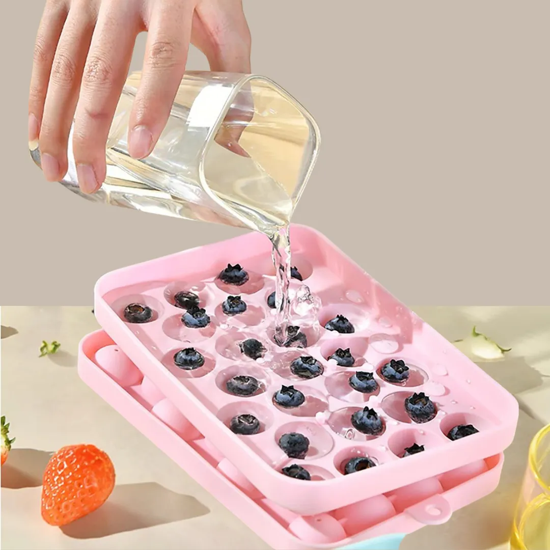 25 Grids Silicone Ice Storage Box