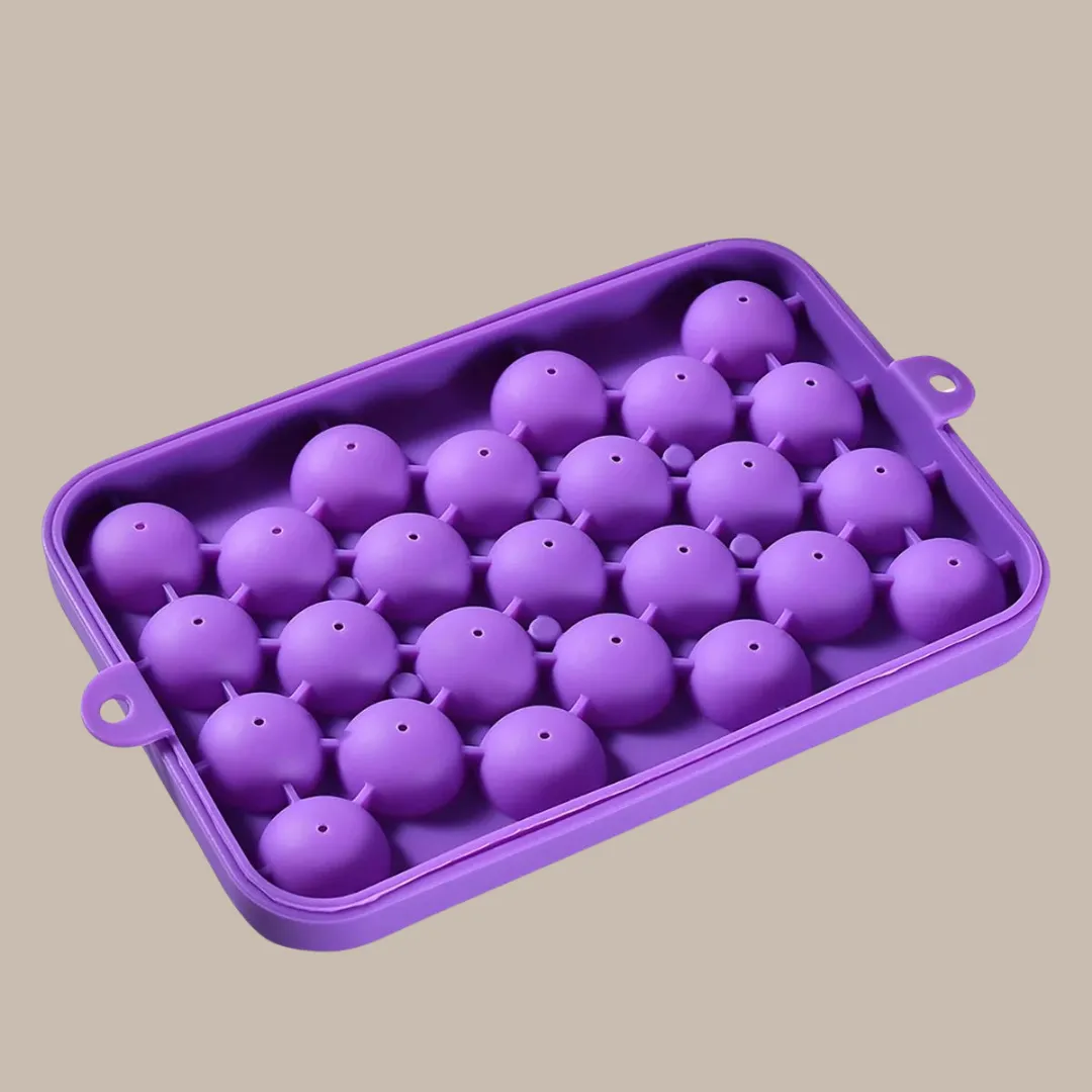 25 Grids Silicone Ice Storage Box