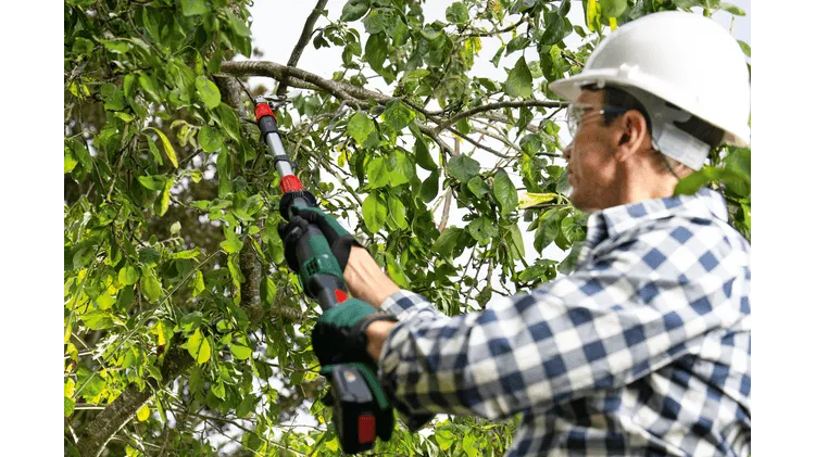 Bosch DIY | Advancedprune Pruning 18V-45