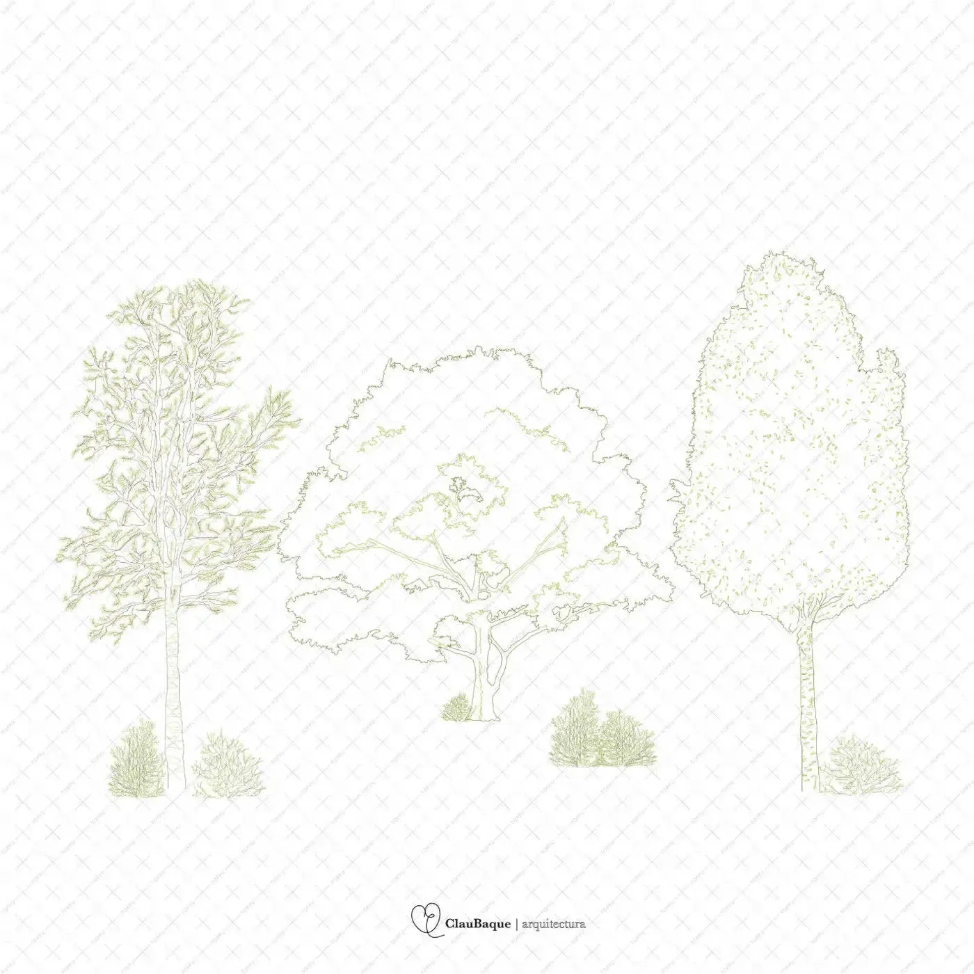 Cad Detailed Trees