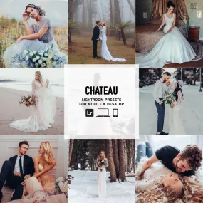 Chateau - Single Color Palette Presets for Lightroom Mobile & Desktop