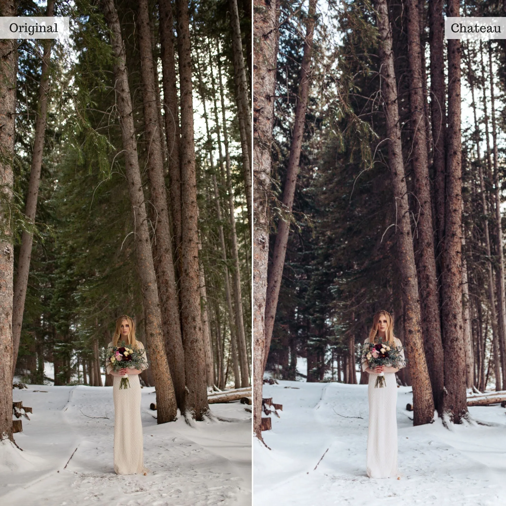 Chateau - Single Color Palette Presets for Lightroom Mobile & Desktop