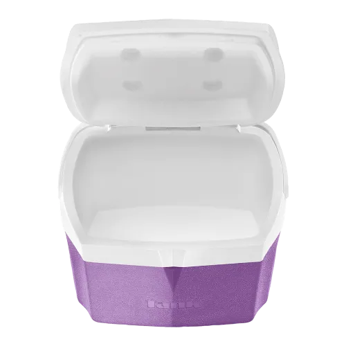 Ice Box 5 L - Purple