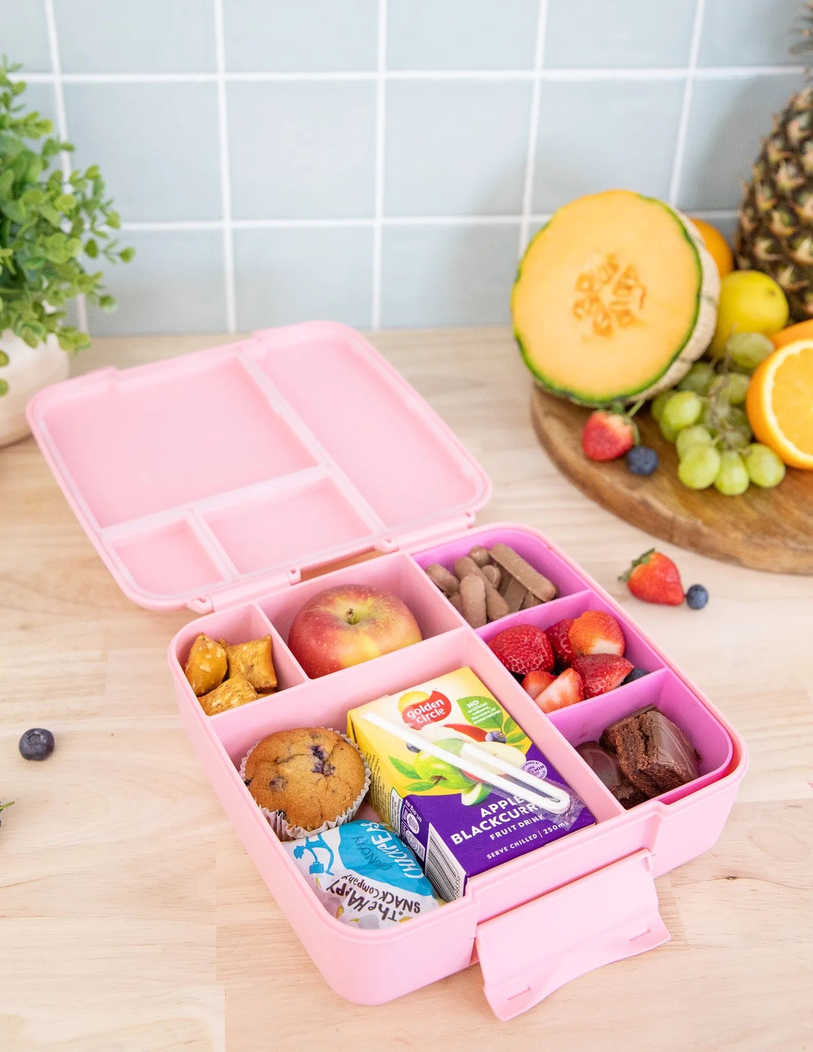 MontiiCo Feast Bento Lunch Box - Dahlia