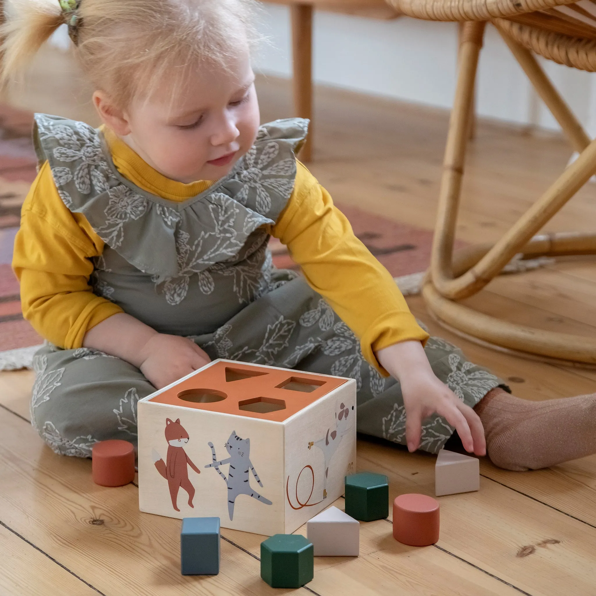 Sebra, Toes/Builders Shape Sorter