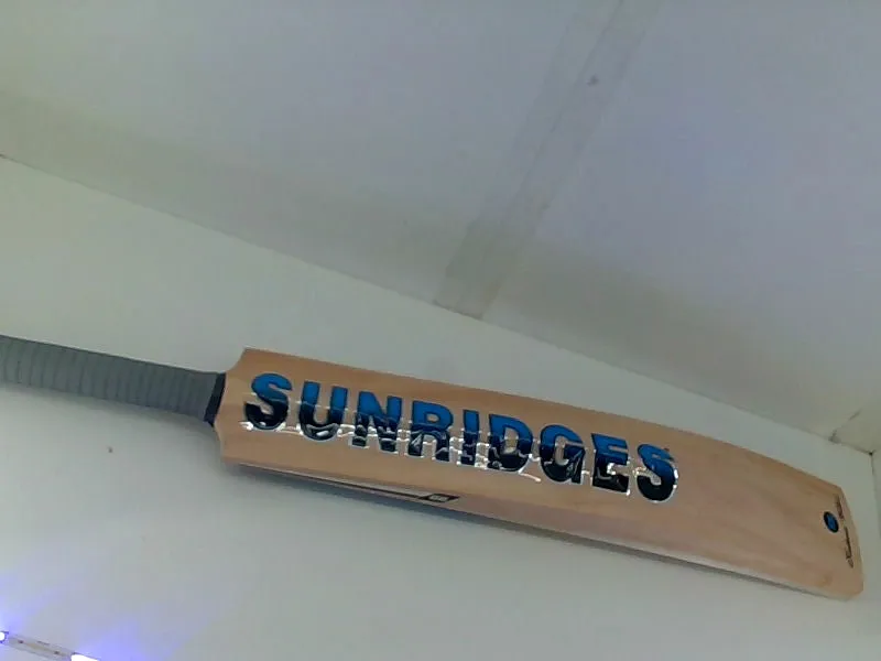 SS Custom English Willow Cricket Bat