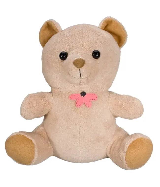 Xtreme Life Teddy Bear WiFi Hidden Camera (Battery Powered)